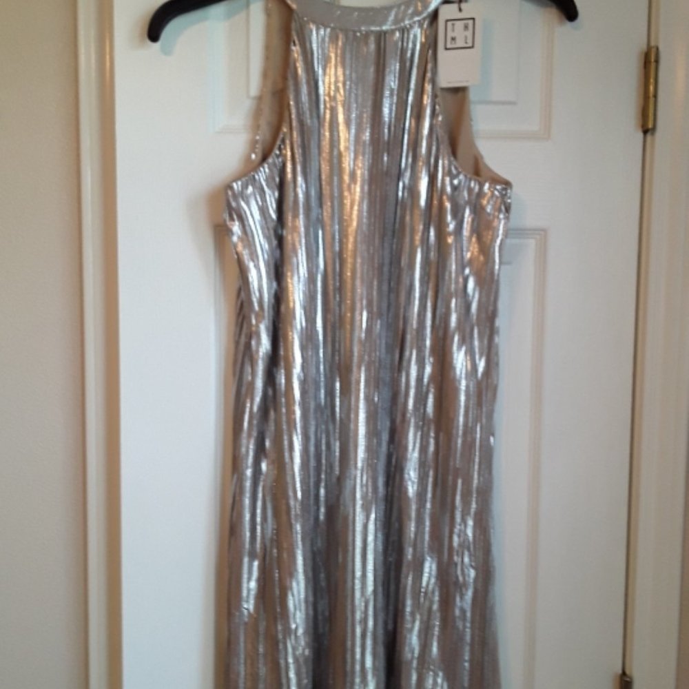 Dress Silvery Gold Shimmery